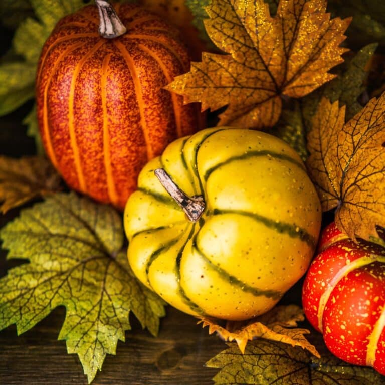 Colorful pumpkins and leaves on a wooden table.