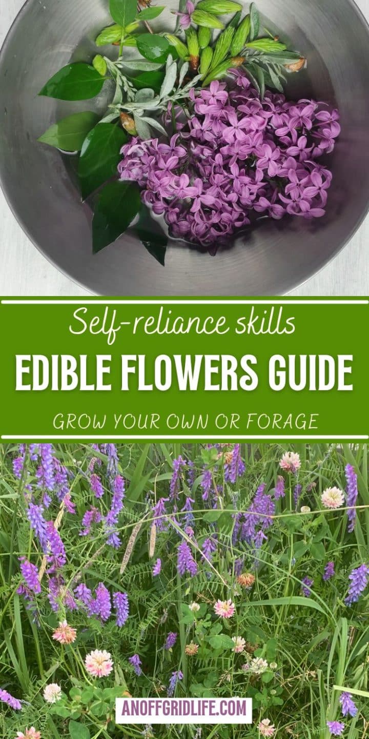Bowls with flowers and leaves, text "Self-reliance skills: Edible Flowers Guide" on a green background, wildflowers beneath, website "anoffgridlife.com" at the bottom.