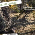 Simple Nature Lessons for Preschoolers