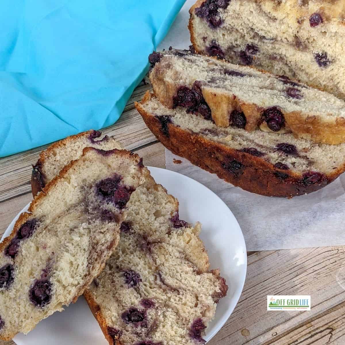 Dutch Oven Blueberry Bread Recipe-image