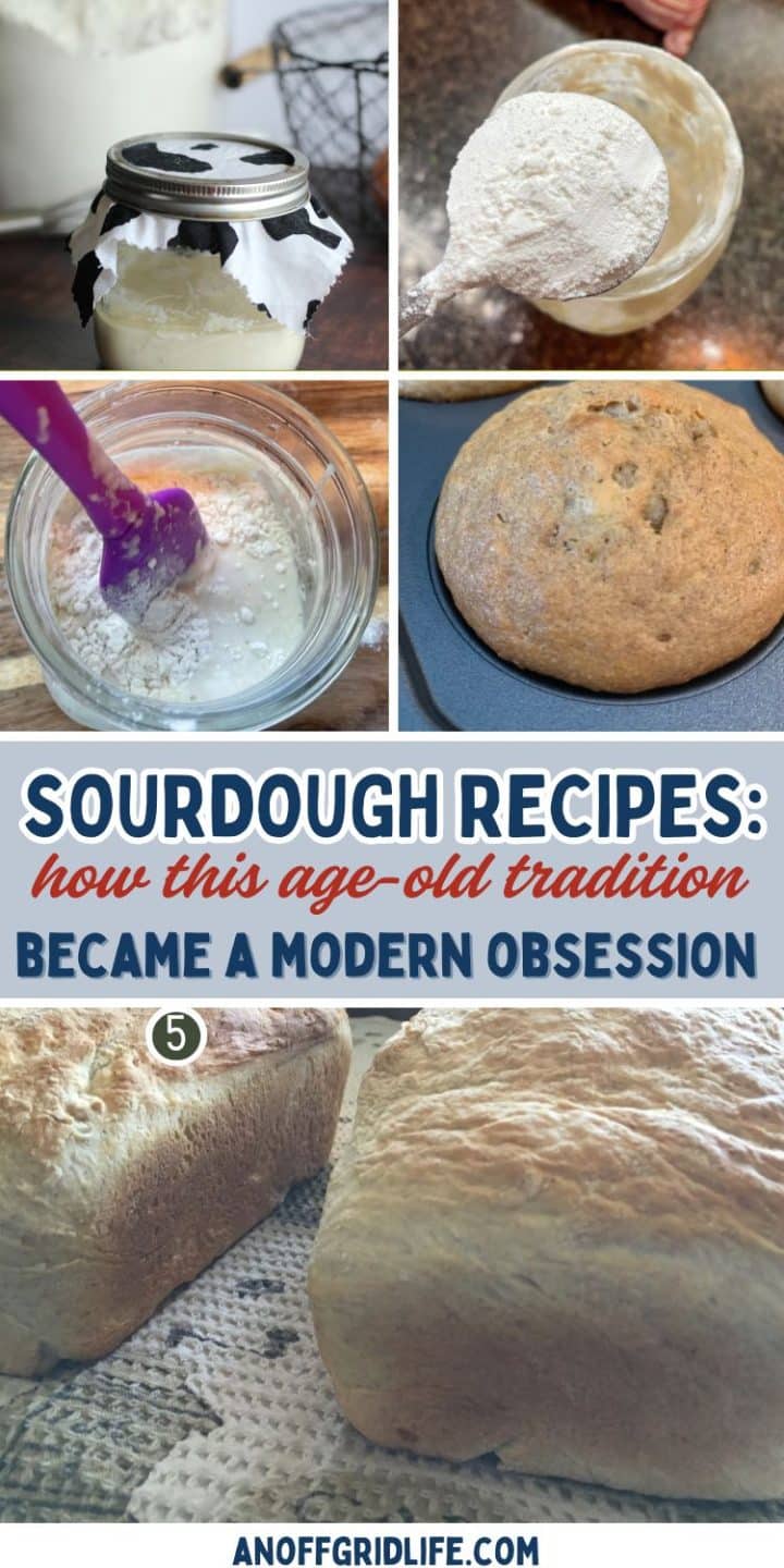 Collage of sourdough making process with text overlay: "Sourdough Recipes: how this age-old tradition became a modern obsession.