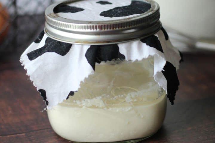 A glass jar with a metal lid covered by a black and white fabric resembling cow print, containing a creamy white substance, on a wooden surface.