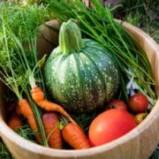 Squash, tomatoes and carrots in wooden bowl.