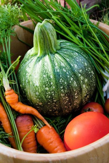 Squash, tomatoes and carrots in wooden bowl.