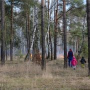Three people, including two children, walk through a forest with small flames visible among trees in the background.