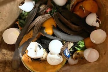 A bag filled with food waste for composting: banana peels, eggshells, orange peels, a paper tag, and other organic material.