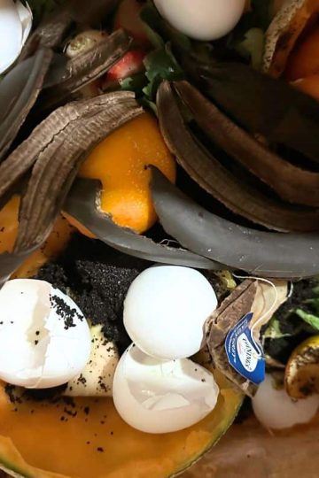 A bag filled with food waste for composting: banana peels, eggshells, orange peels, a paper tag, and other organic material.