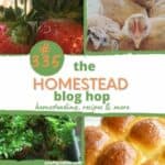 Homestead Blog Hop 335