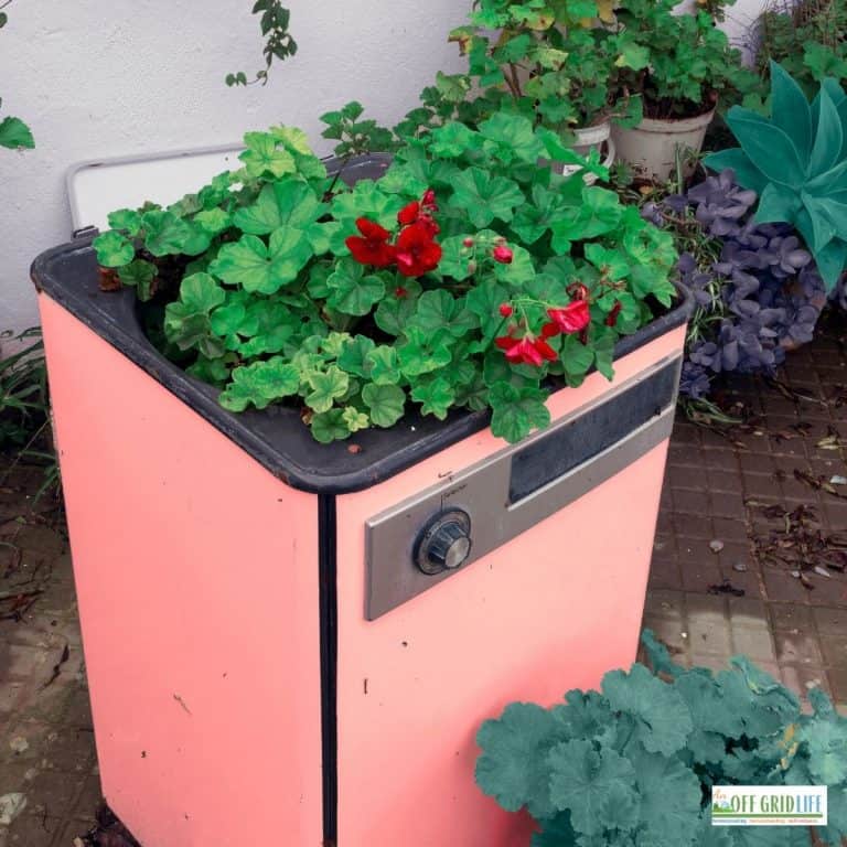 a picture of an old appliance upcycled into a pot for plants with flowers on top.