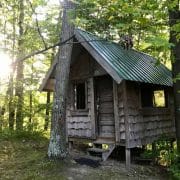 A small wooden cabin with a green metal roof, nestled among trees in a forest. Sunlight filters through the foliage.