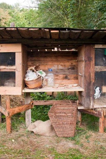 a homemade rabbit hutch on wooden posts with rabbits inside