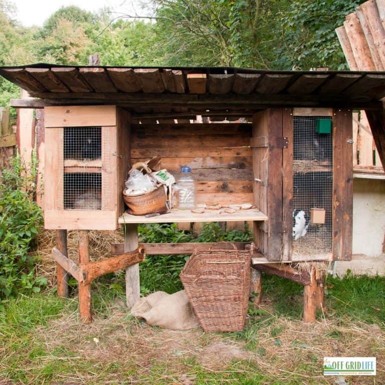 a homemade rabbit hutch on wooden posts with rabbits inside