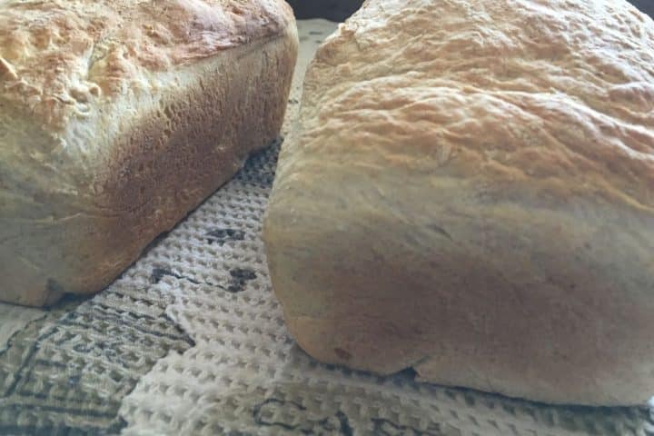 Two loaves of freshly baked bread on a patterned cloth.
