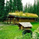 A small cabin with a grass roof in the middle of a forest.