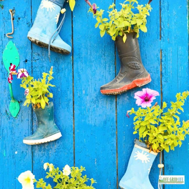 A picture of diy planters made from recycled rubber boots hanging on a blue fence.