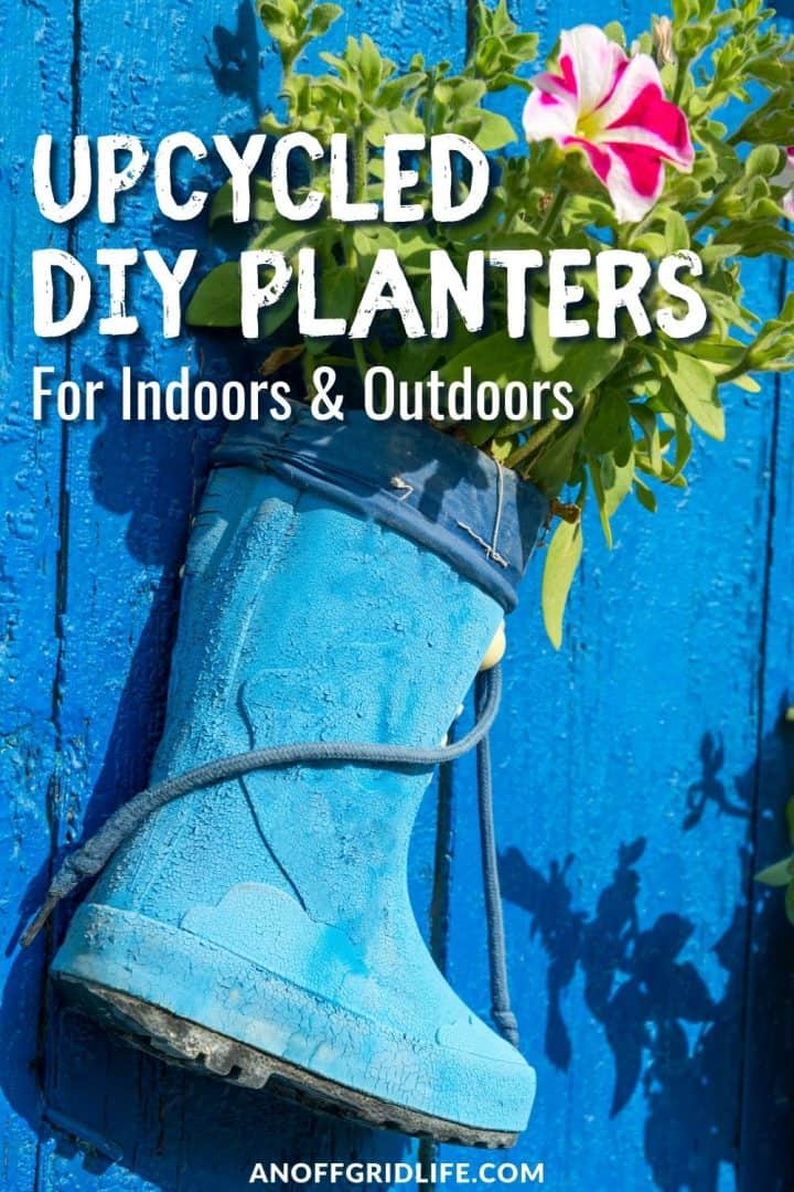 a pinterest image of a rubber boot used as a planter hanging on a blue fence, with text overlay "upcycled diy planters for indoors and outdoors"