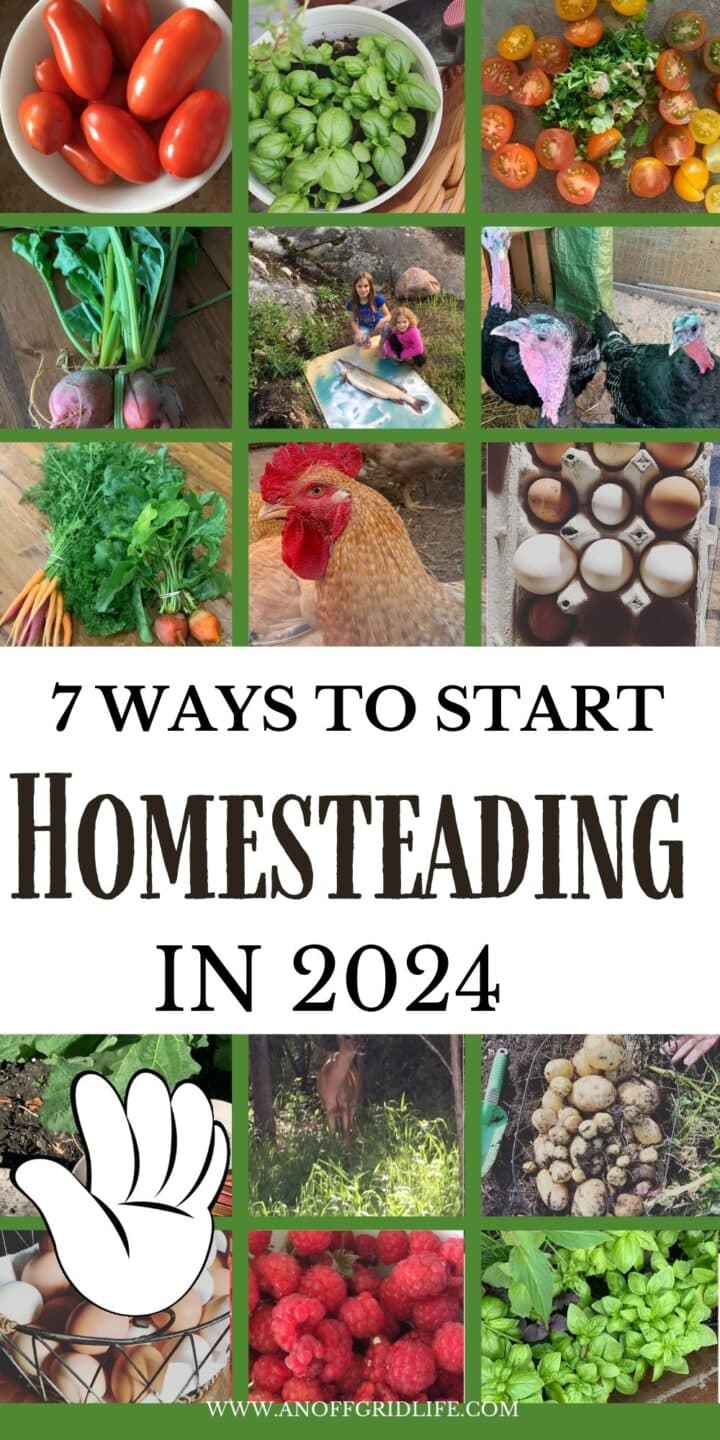 7 ways to start homesteading in 2024.