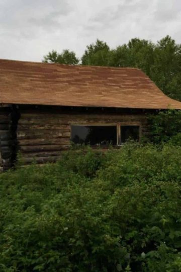 an image of a brown log cabin in a green forest