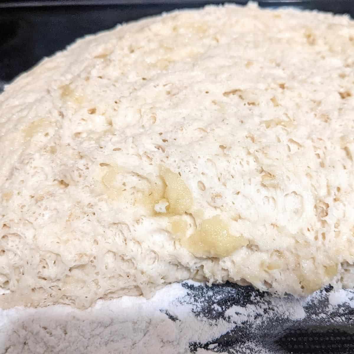 Whole Grain Artisan Bread Recipe An Off Grid Life