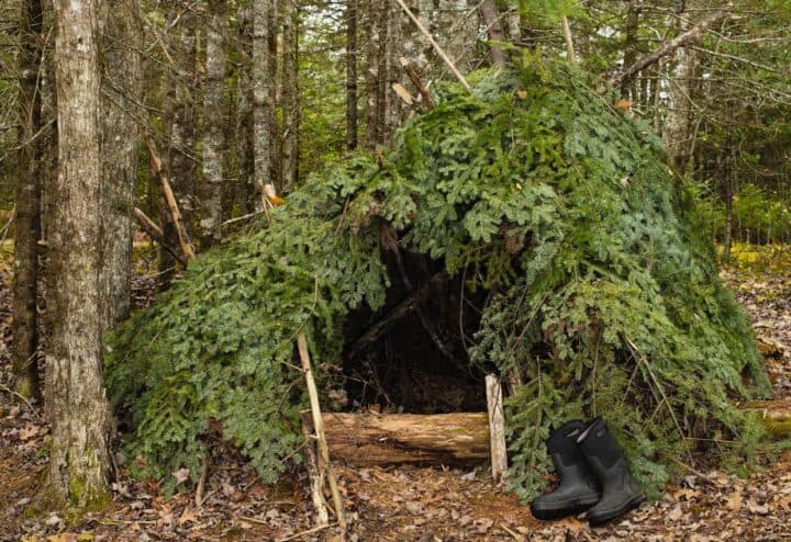 jungle survival shelter