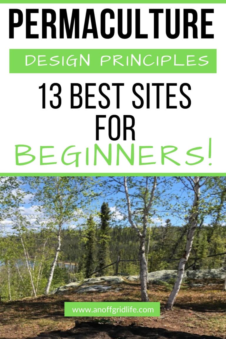Permaculture Design Principles: Best Sites for Beginners - An Off Grid Life