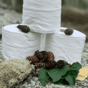 cropped-21-Toilet-Paper-Alternatives-for-When-the-TP-is-Gone-2.png
