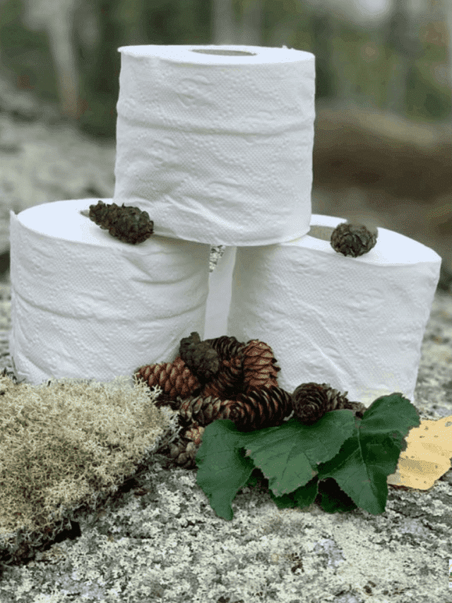 21 TOILET PAPER ALTERNATIVES FOR WHEN THE TP IS GONE Story An Off