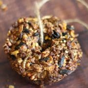 Homemade birdseed cake with a string loop for hanging.