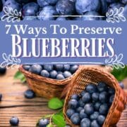 7 ways to preserve blueberries