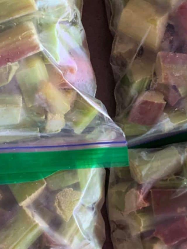 How to Freeze Rhubarb at Home