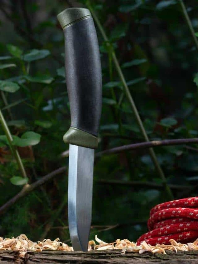 A fixed-blade knife with a black handle, plunged upright into a wooden surface, next to a bundle of red sausages in a natural setting.