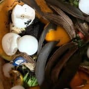 A pile of food waste in a brown paper bag.