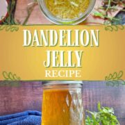 Dandelion jelly recipe.
