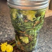 A jar filled with herbs and liquid on a kitchen counter, with a yellow flower beside it.