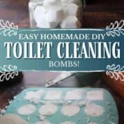 Easy Homemade DIY Toilet Cleaning Bombs