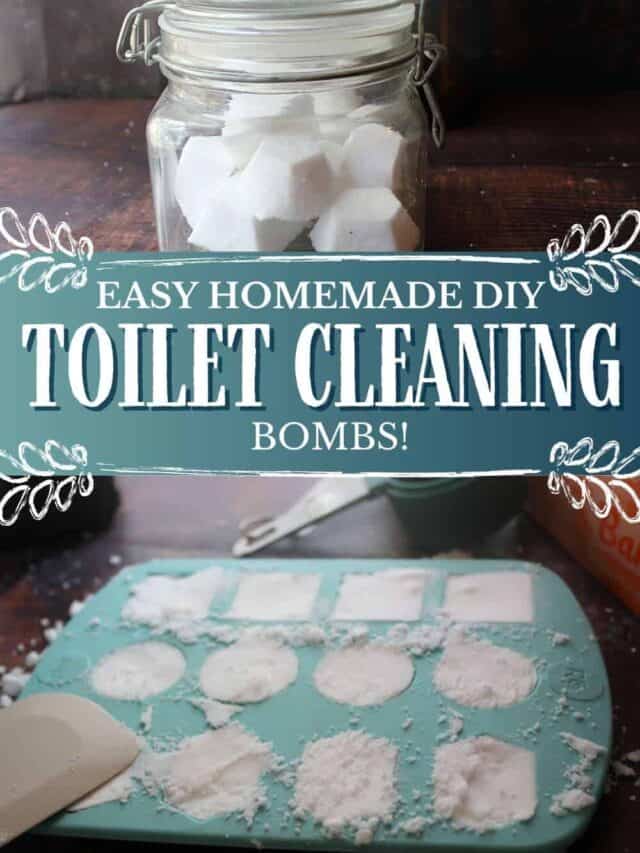 DIY Toilet Bomb Recipe An Off Grid Life
