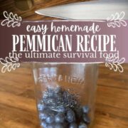 Easy homemade pemexican recipe the ultimate survival food.