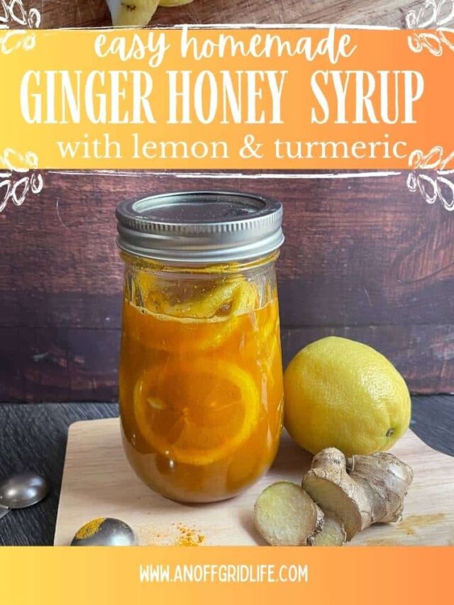 How to Make Ginger Honey Syrup with Lemon and Turmeric An Off Grid Life