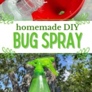 Homemade DIY bug spray.
