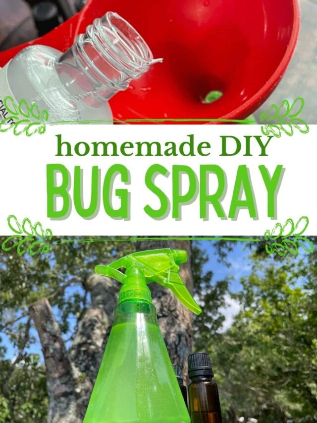 How to Make DIY Bug Spray with Essential Oils An Off Grid Life
