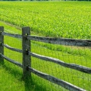 cropped-Homestead-Projects-3.jpg