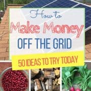 cropped-How-to-Make-Money-Off-The-Grid.jpg