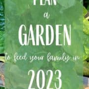 How to Plan a garden in 2023 text overlay on image of vegetable garden