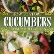 How to Store Cucumbers from the Garden