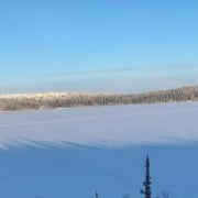 cropped-Polar-Bears-1.jpg