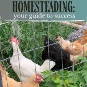 Transitioning to homesteading your guide to success.
