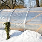 A greenhouse covered in snow and covered in snow.