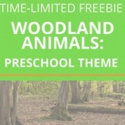 cropped-Woodland-Animals-2.jpg
