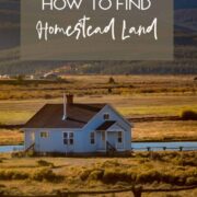 How to Find Homestead Land