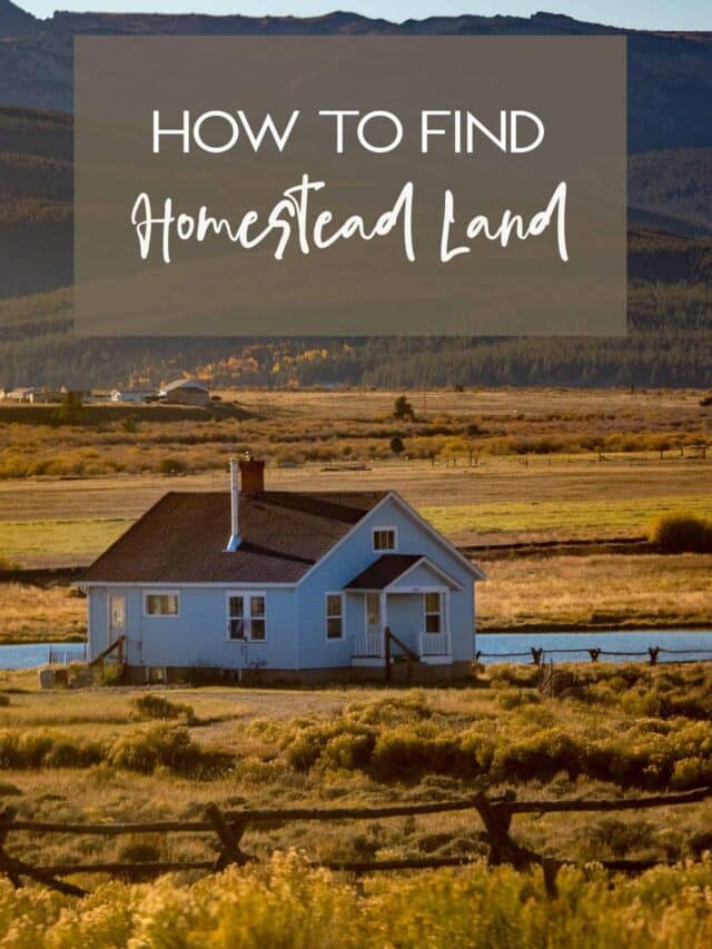 HOW TO FIND HOMESTEAD LAND An Off Grid Life